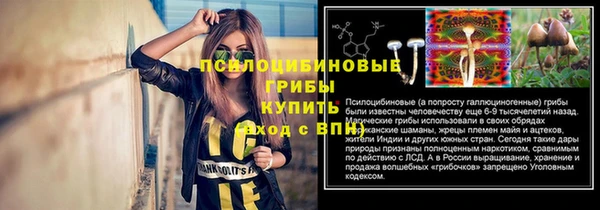 винт Армянск